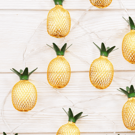 Гирлянд LED ACA LIGHTING PINEAPPLE 0.2W 3000K 135см