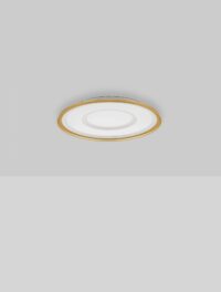 Плафон LED Nova-Luce 40W с регулируем спектър - 3