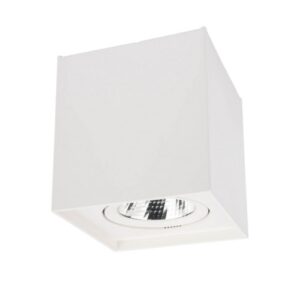 LED луна за външен монтаж SMARTER 70438 PC 01 LED 10W 3000K SQ MWH