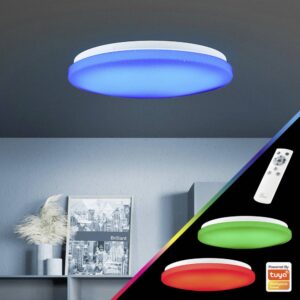 Плафон LED 22W Brilliant с дистанционно, 6500K, бял - Image 2